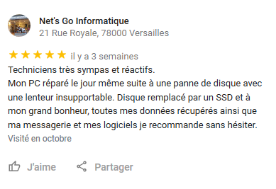 Certains commerçant peu scrupuleux n'hésitent pas à rédiger de faux avis clients et s'attribuer une note 5* comme Net's Go Informatique à Versailles