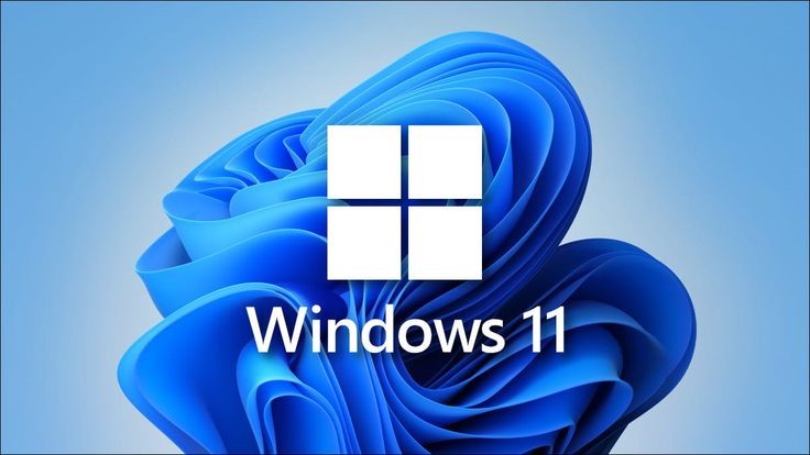 Différences entre Windows 11 Professionnel et Familial : Lequel Choisir ?